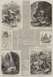 Libri regalo illustrati
